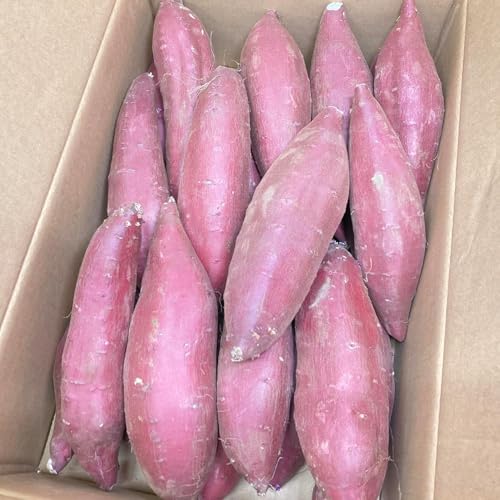 茨城県産 シルクスイート 5kg」の人気商品一覧 | 安い商品を通販
